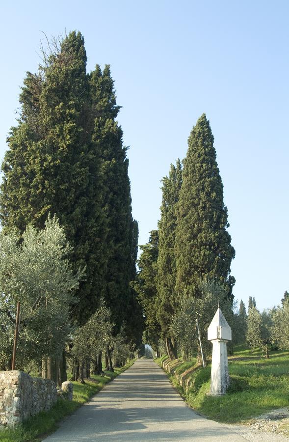 Tenuta Di Capezzana Bed & Breakfast Seano Exterior photo