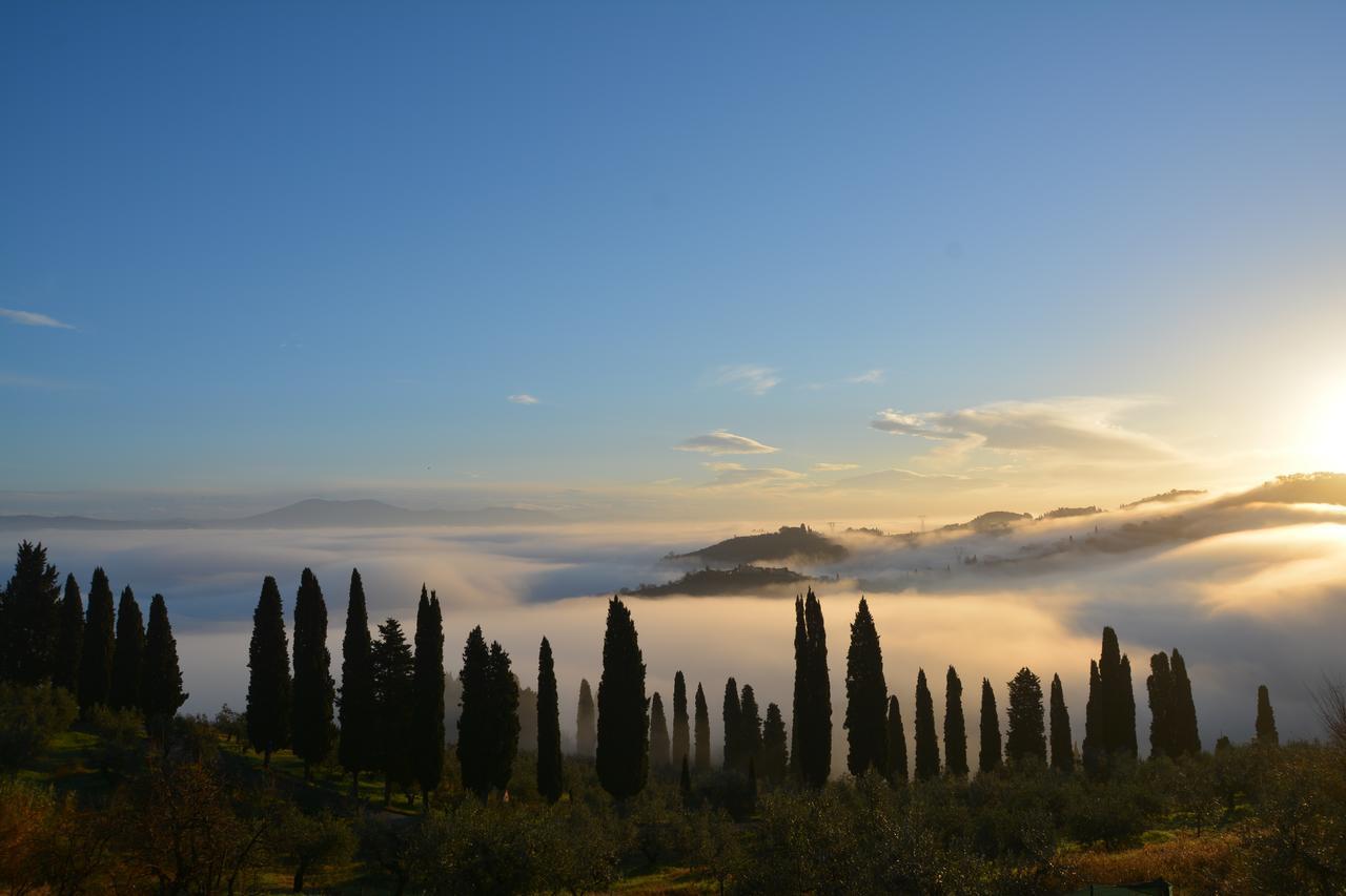 Tenuta Di Capezzana Bed & Breakfast Seano Exterior photo